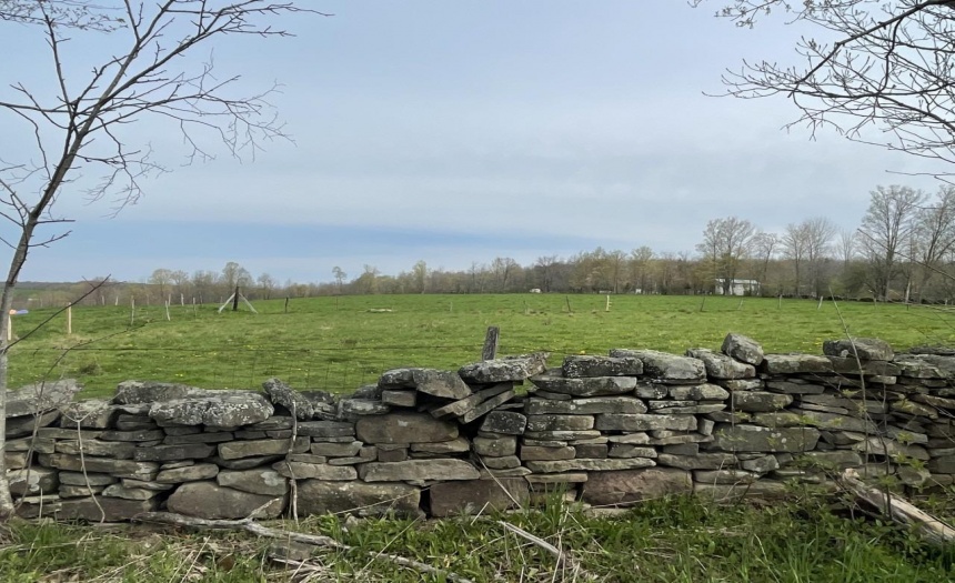 pasture across street