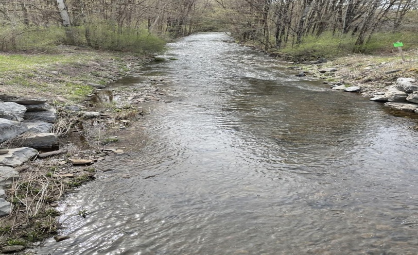 2 streams on property