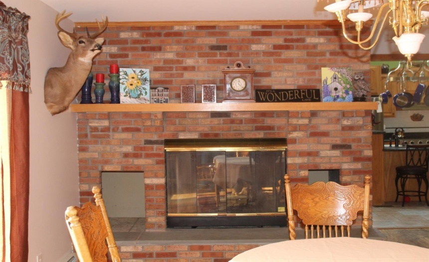 Dining room Fireplace (propane)