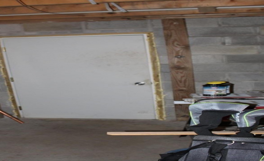 Basement Door (Bilco)