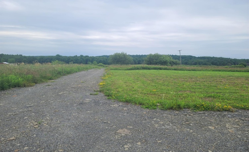 Looking down towards North Pond Road from top of driveway.