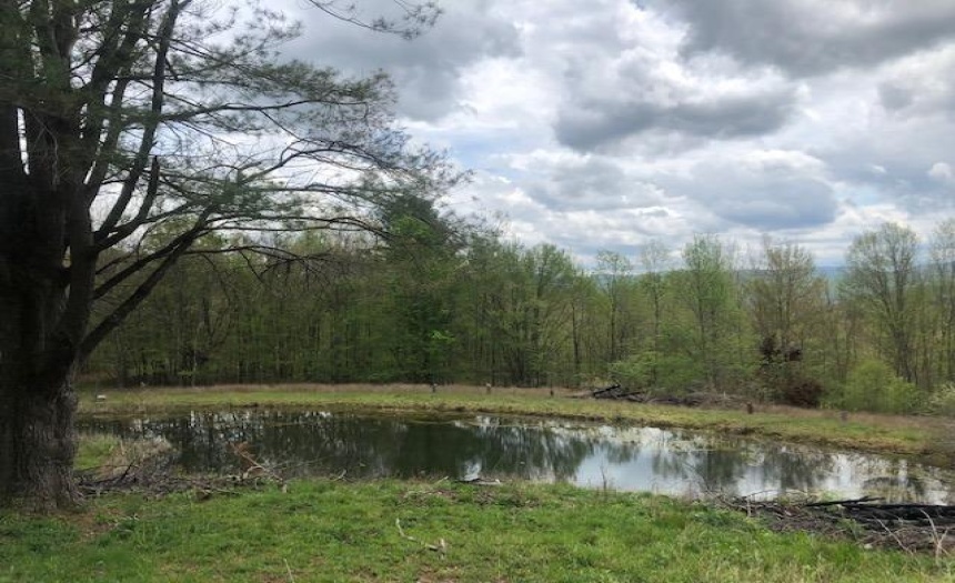 Pond View from Main House