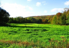 Field to the left of the entrance.