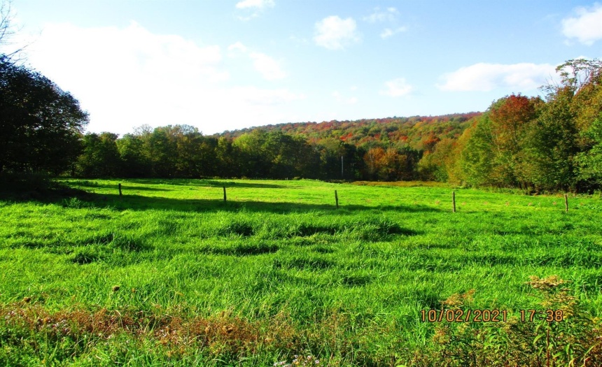 Field to the left of the entrance.