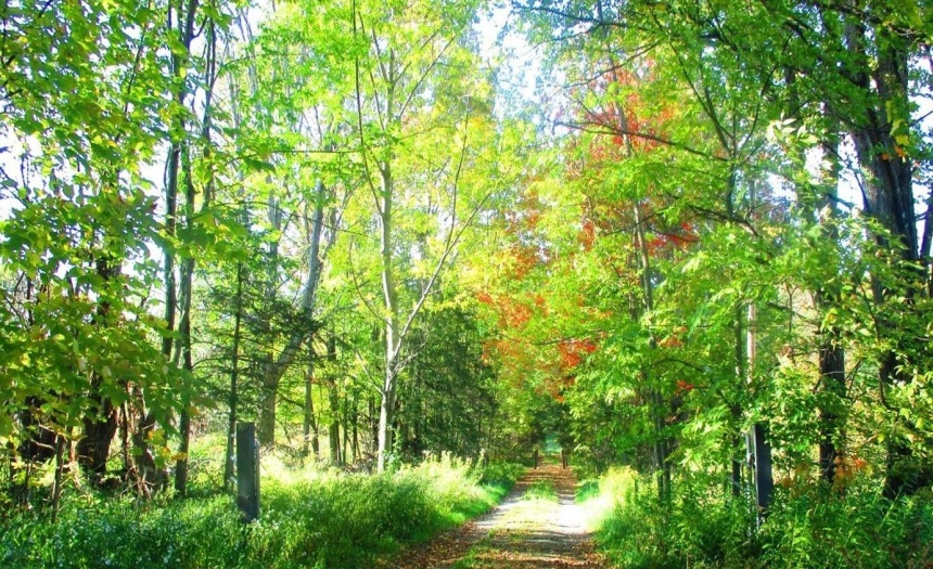 Entrance to the property
