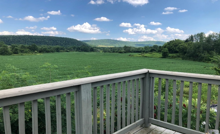 Cedarwood field view from balcony apt 5