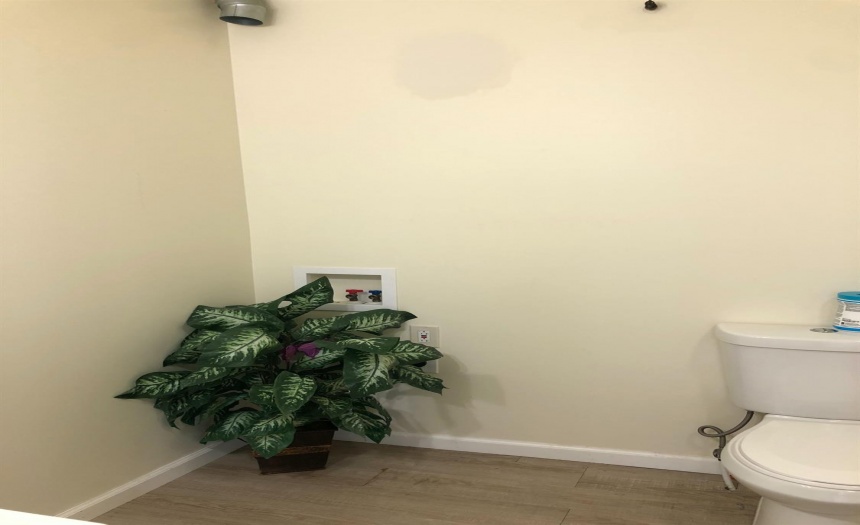 Cedarwood apt 7 washer/dryer hook up area.