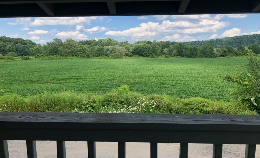 Cedarwood apt 2 view from private balcony.