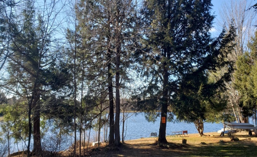 View as you enter HOA common picnic beach boat launch area available for landowners with lake rights. 60 plus acre lake. You can store your non-motorized boats, canoes, sailboats. Electric motors are allowed. See HOA rules and regulations for more info.