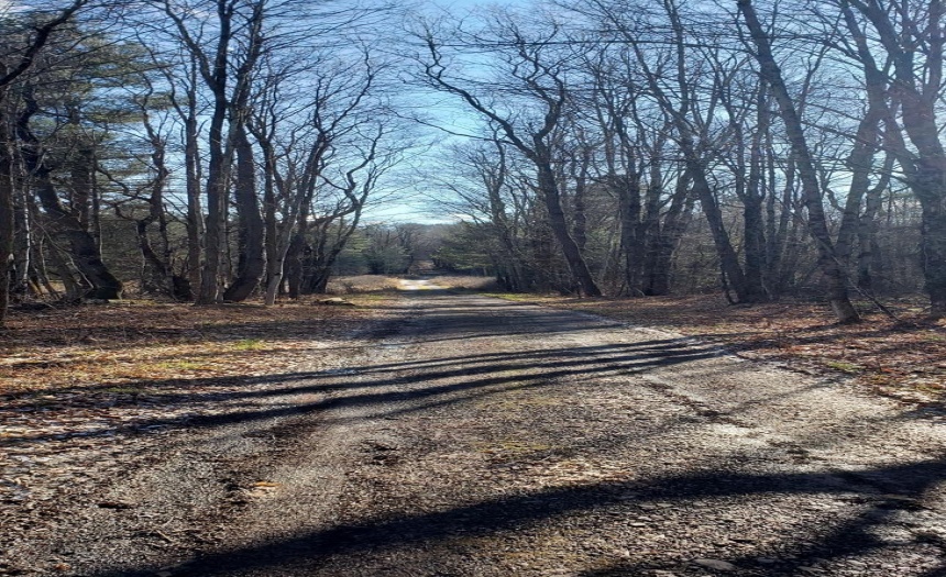 View of 96 Road east just as you enter from intersection of Stone House Road and Lake Road. The 3 parcels are up ahead about one tenth of a mile on the left hand side.