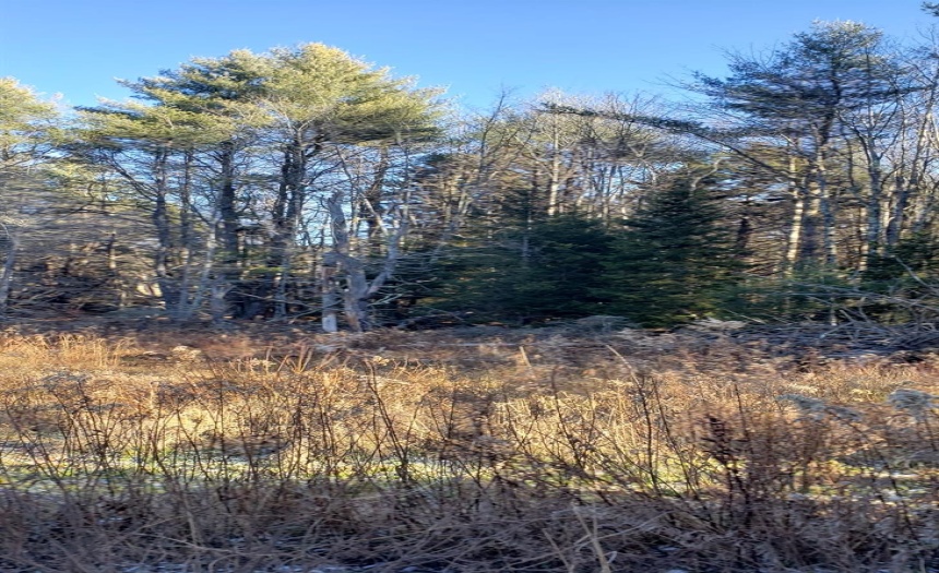 View of 26.-4-38(tax ID#) parcel, the western-most lot.