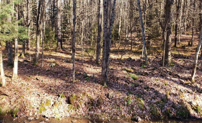 Northerly view of middle parcel (26.-4-37 tax ID). It is labeled by the number 2 on the tree.