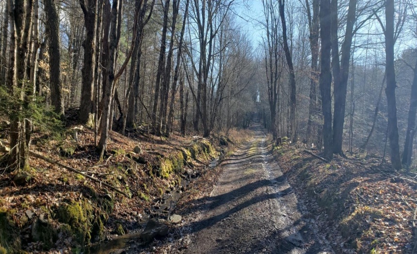 View of 96 Road east. You are about at the middle of the 3 parcels seen on the left hand side.