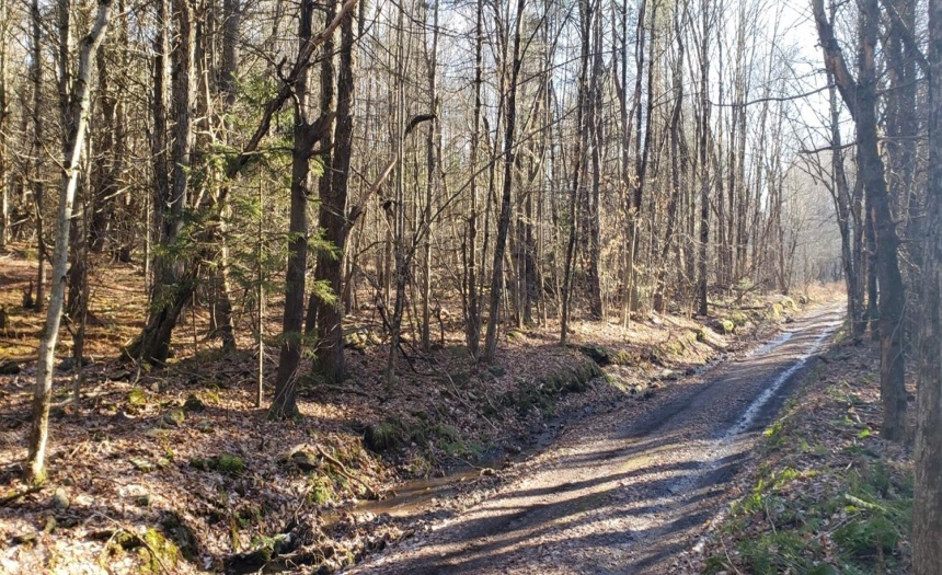 View of 96 Road east. The 3 parcels seen on the left hand side.