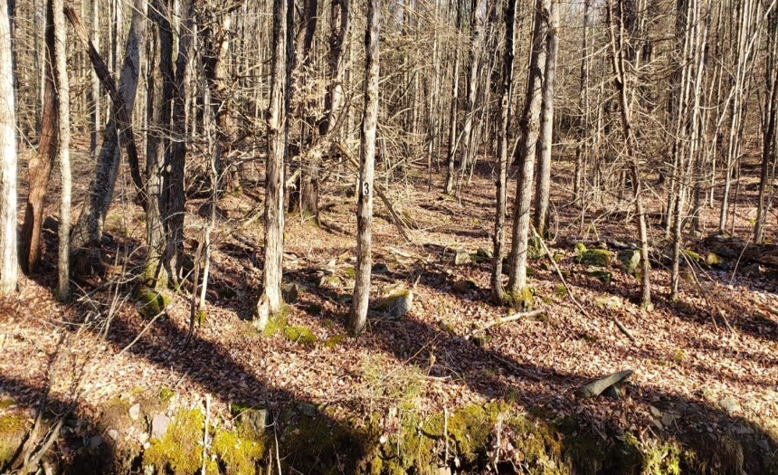 View of easternmost parcel (tax ID #26.-4-36)