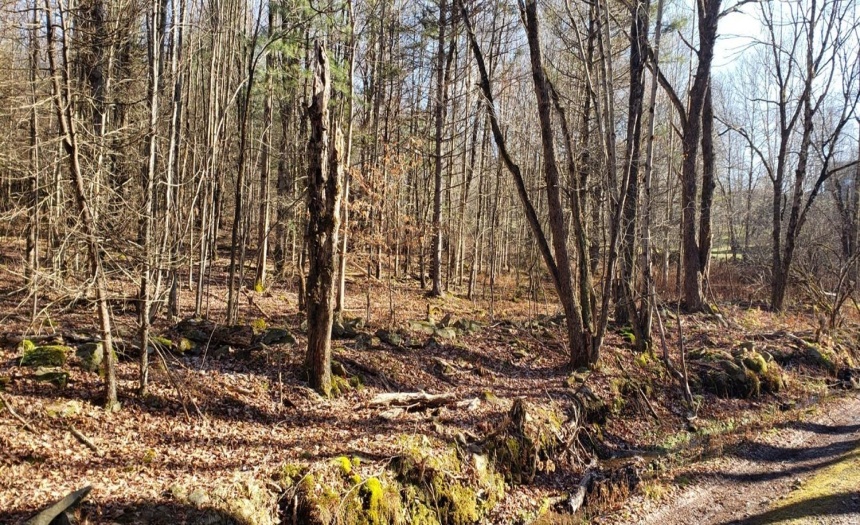 Nearing the end of the easternmost parcel (tax ID #26.-4-36).