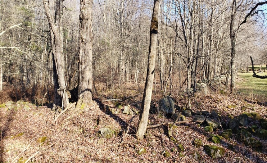 Nearing the end of the easternmost parcel (tax ID #26.-4-36). There is a stone wall that approximately signifies the property line.