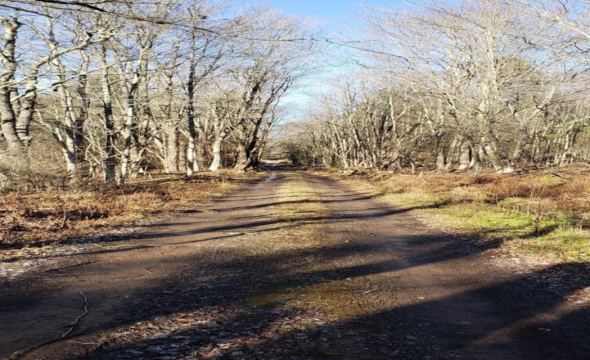 View of 96 Road west that are now behind you as you are leaving from the parcels.