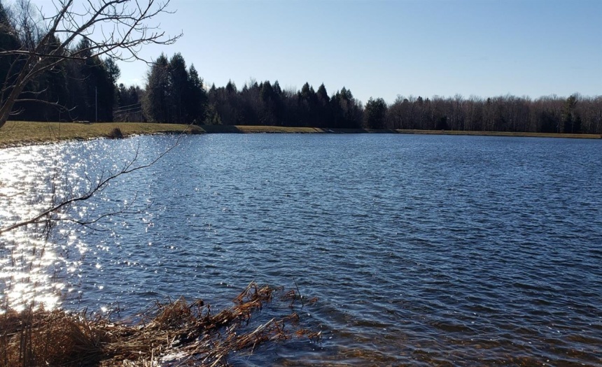 Southeast view from HOA common picnic beach boat launch area available for landowners with lake rights. 60 plus acre lake.