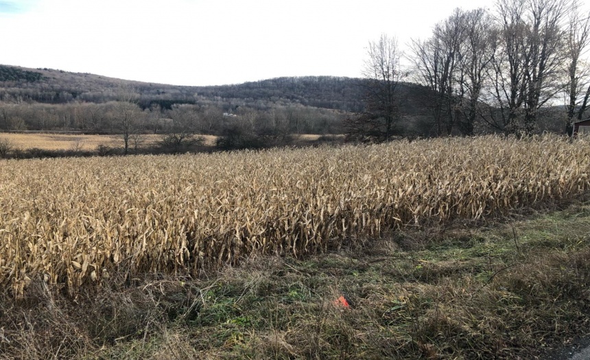 right side from roadway