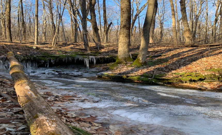 Beautiful stream running through property