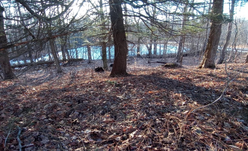 Nice build site, camper spot...