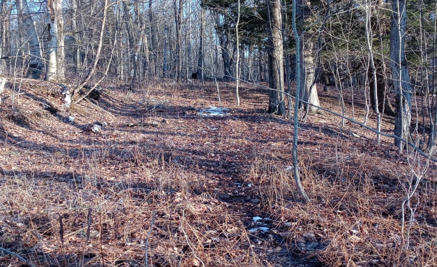 gravel driveway added years ago