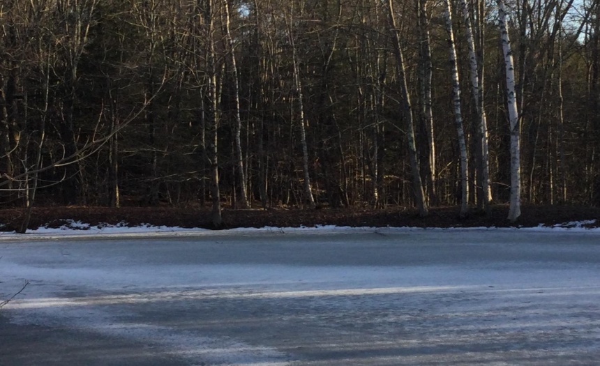 Charming pond perfect for teaching the grandkids.