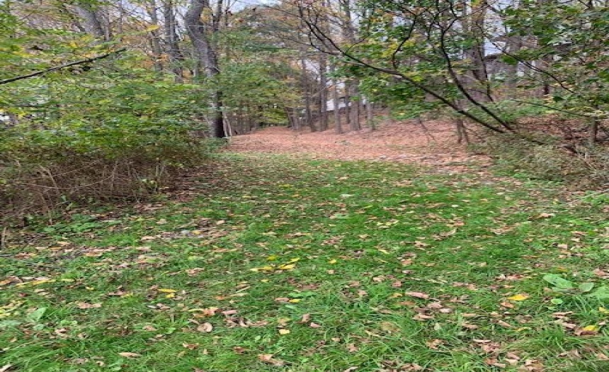 Access from Hudson St via City of Oneonta lot between 62 and 64-66 Hudson St(s)