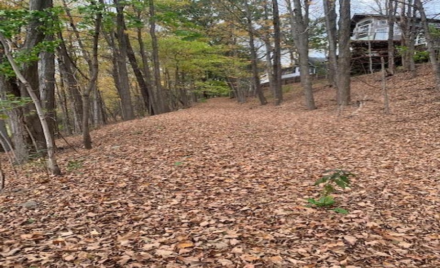 Access from Hudson St via City of Oneonta lot between 62 and 64-66 Hudson St(s)