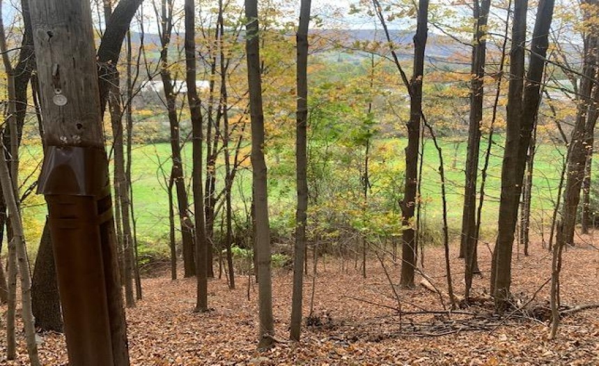 Access from Hudson St via City of Oneonta lot between 62 and 64-66 Hudson St(s)