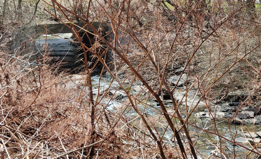 Babbling stream that borders property
