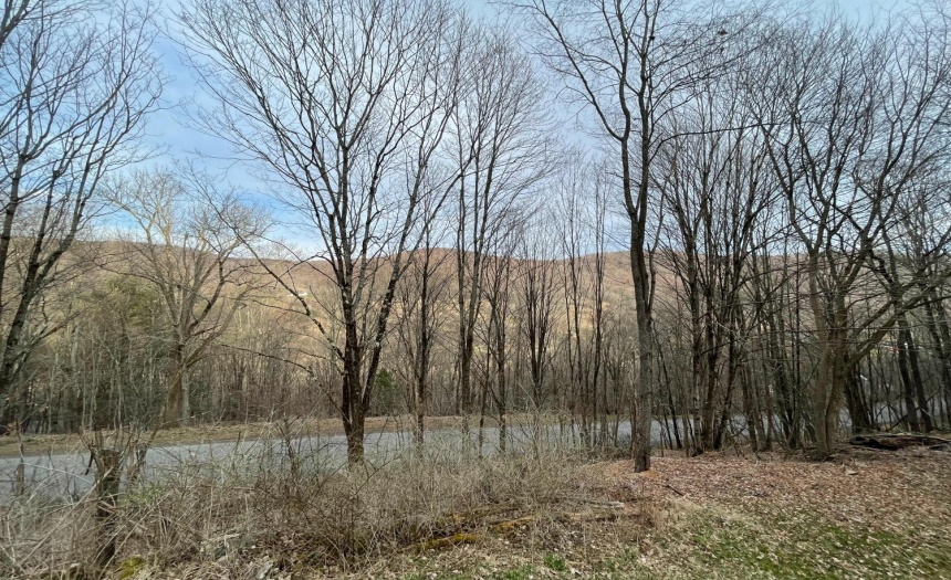 Dunk Hill Road visible from the side lawn