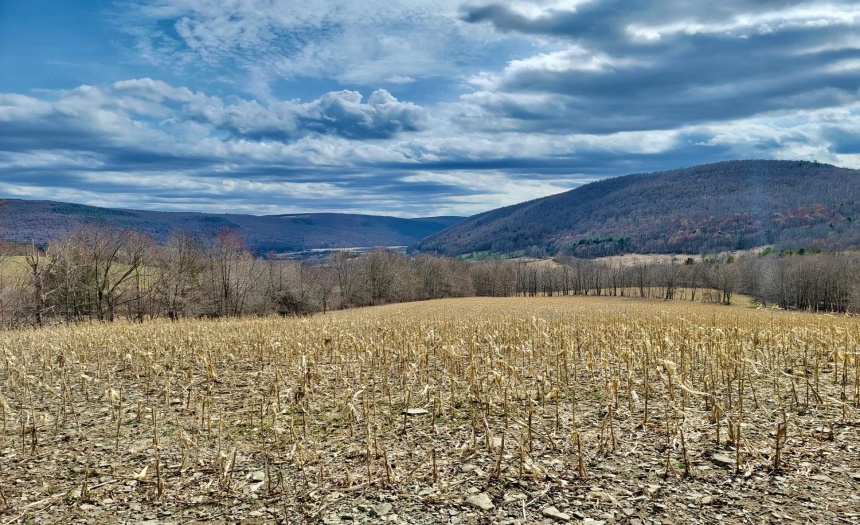 Old Dutch Colonial Site View