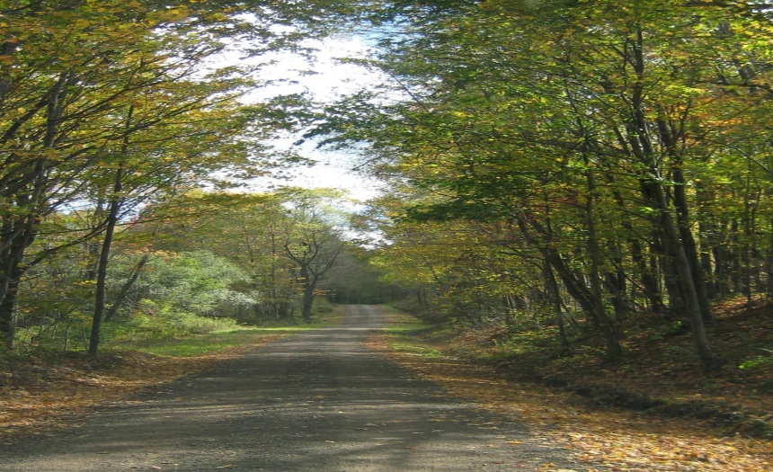 Beautiful country road