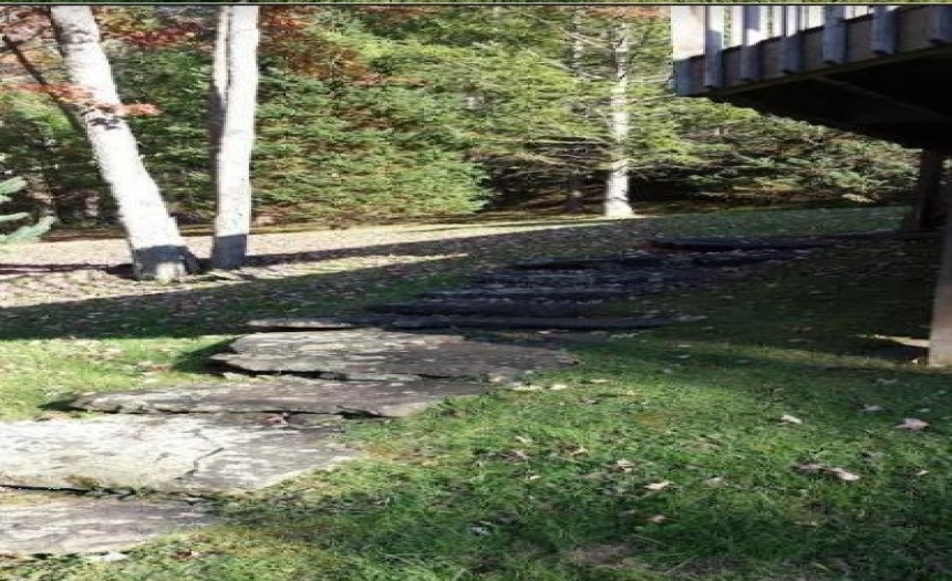 Stone path to the home