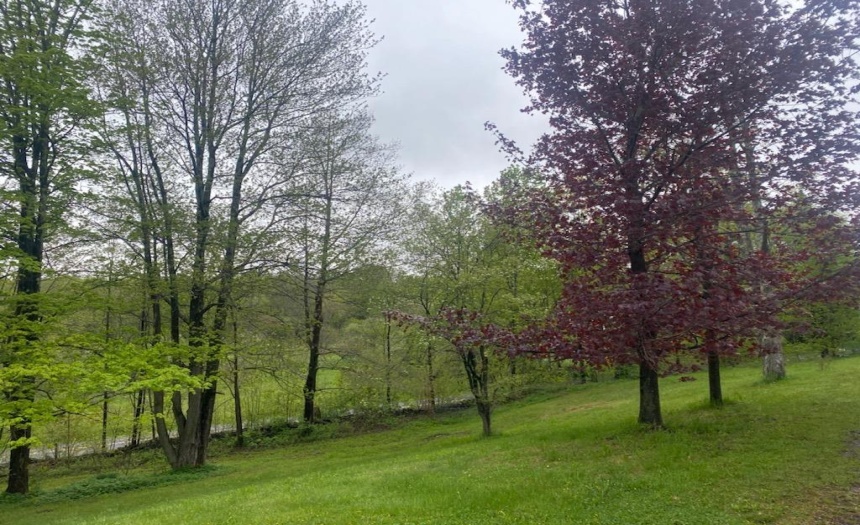 Come enjoy Mother Nature......Sights and Sounds