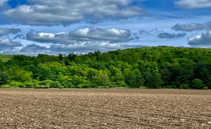 24 Gently sloped, wooded acres.