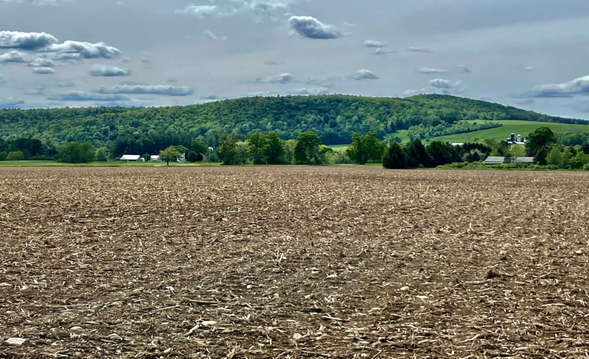 Facing West to the view across County Highway 31