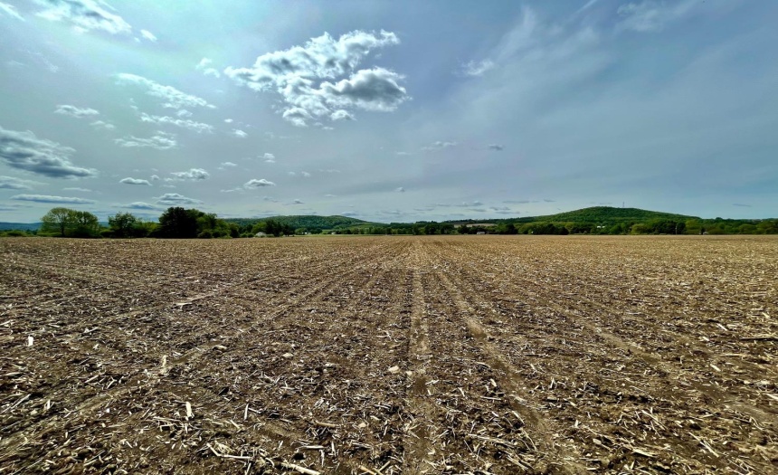 From the Eastern part of the field facing West