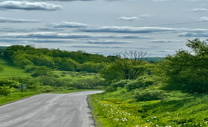 Approaching the property from Briar Hill ~ this photo shows the eastern, wooded border.