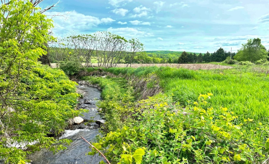 Pretty Stream borders the Northern Boundary