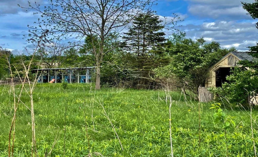 Small shed and batting cage