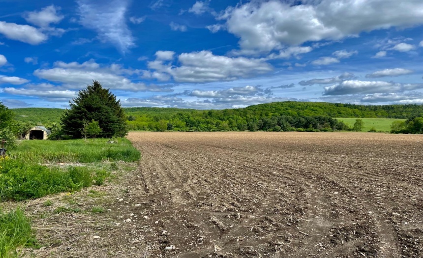 Facing East toward wooded portion of property