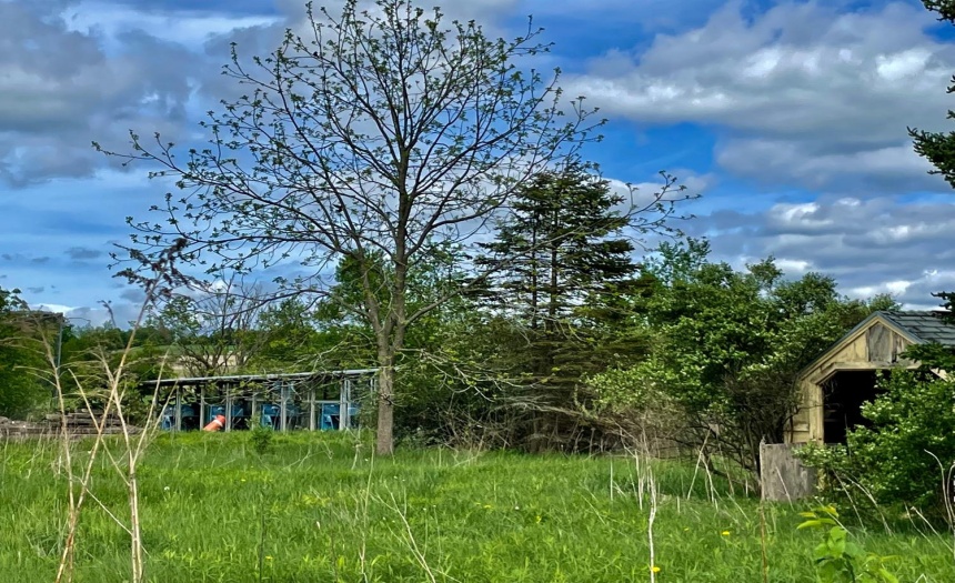 Batting cage and shed