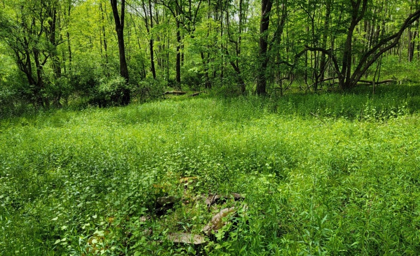 Great spot to park your RV.