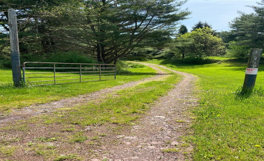 Driveway to main house