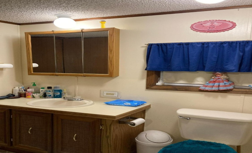 Ensuite bathroom facing sink