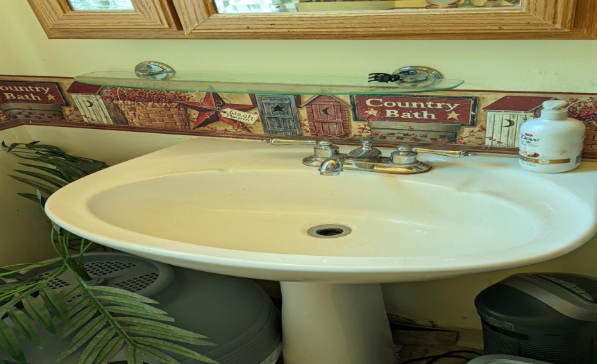 Pedestal sink in 1st floor half bath